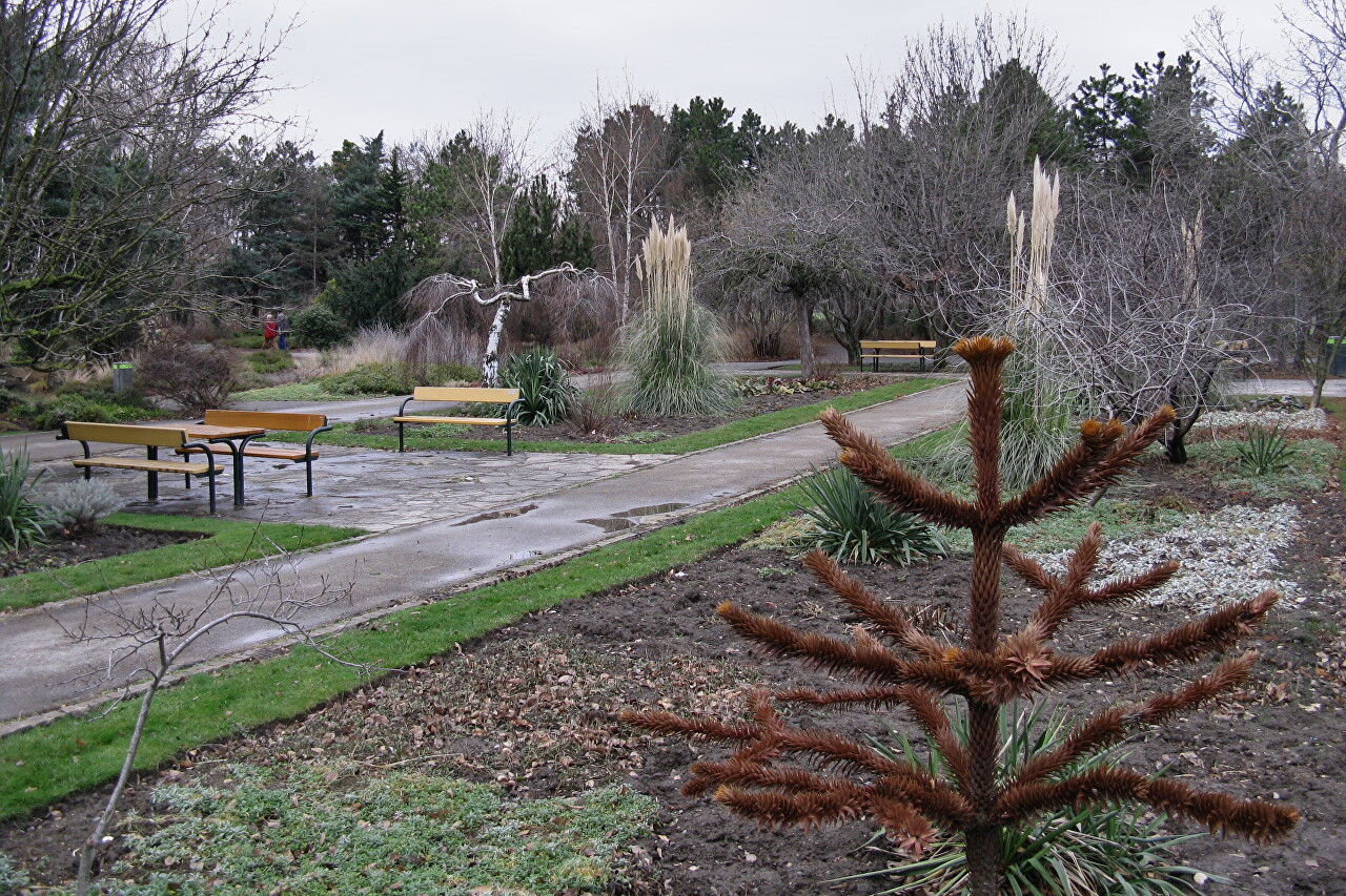 Парк Дунай (Donaupark), Вена