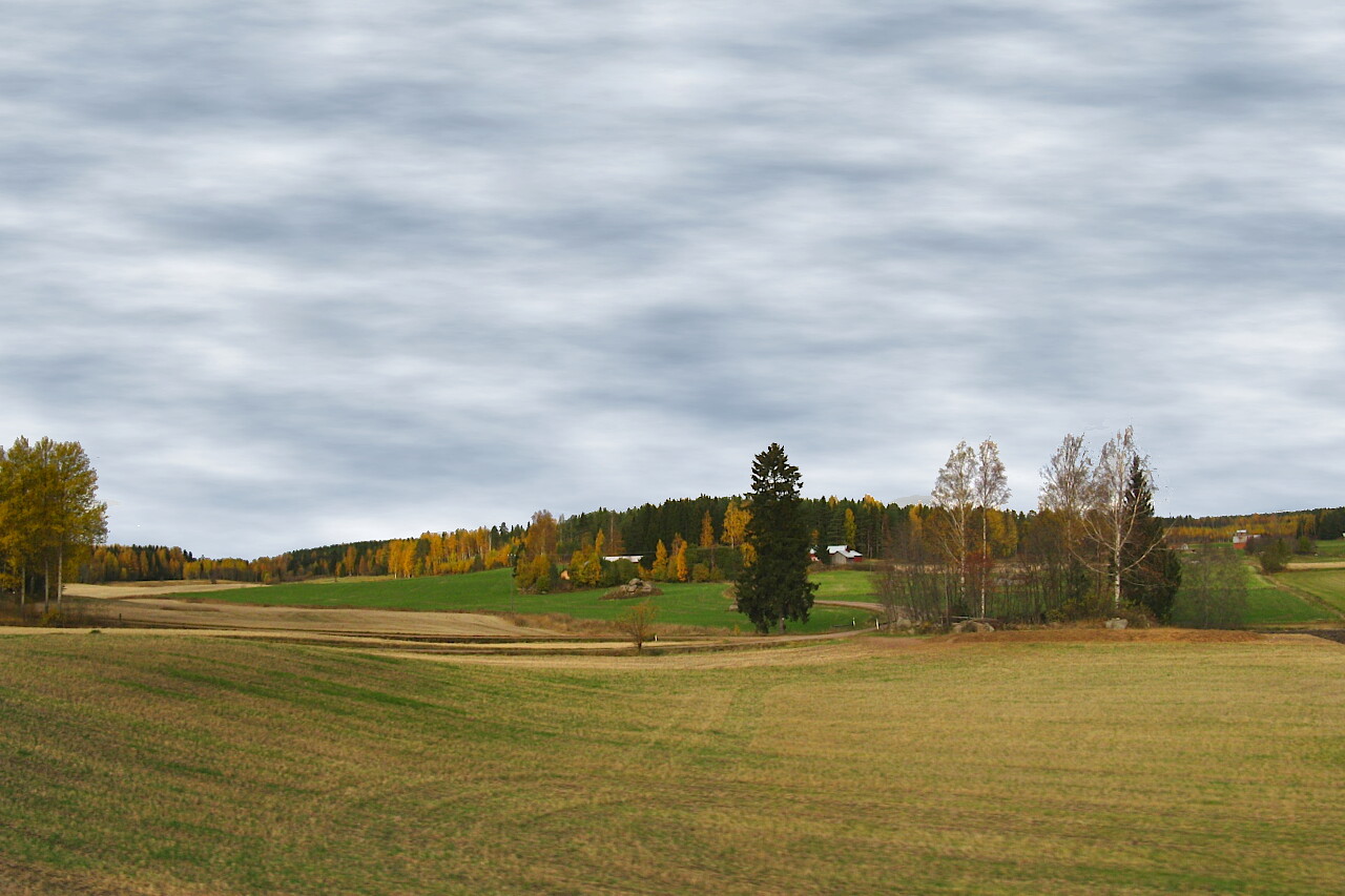 Golden Autumn in Finland