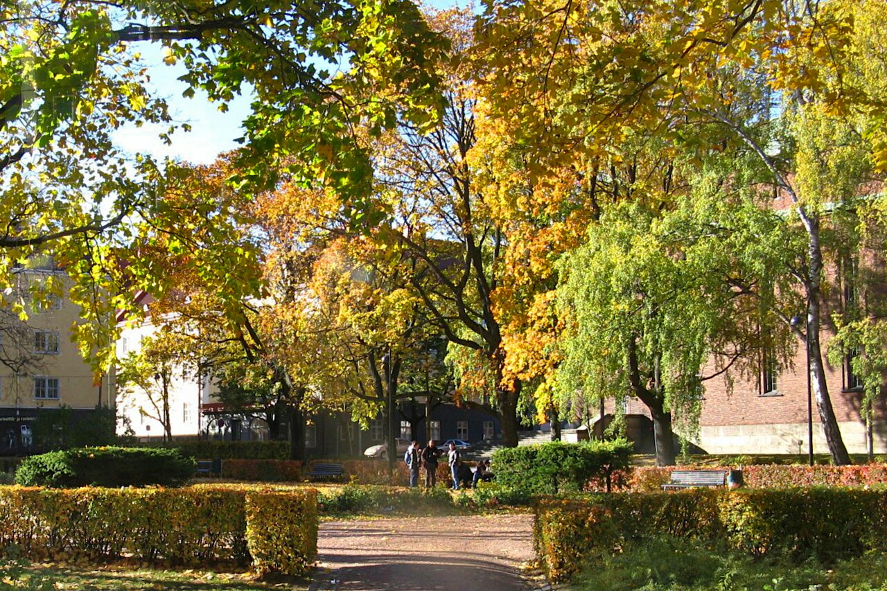 Golden Autumn in Finland