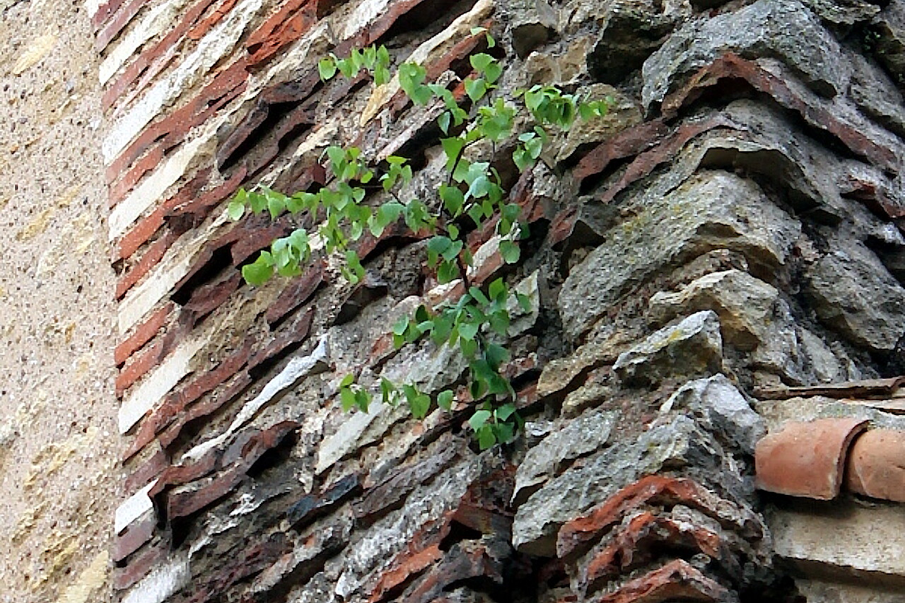 St. Peter's Church, Metz