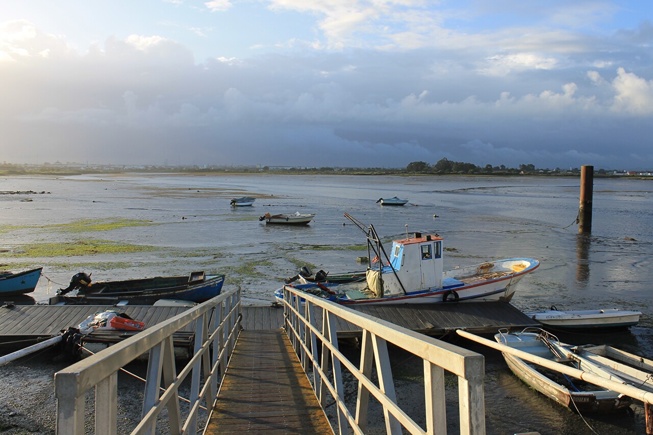 Montijo, low tide