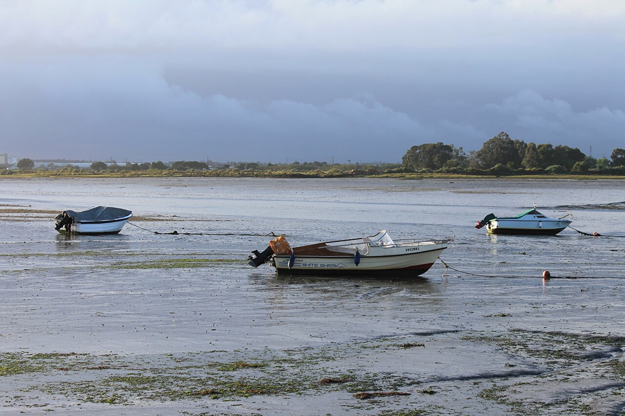 Montijo, low tide