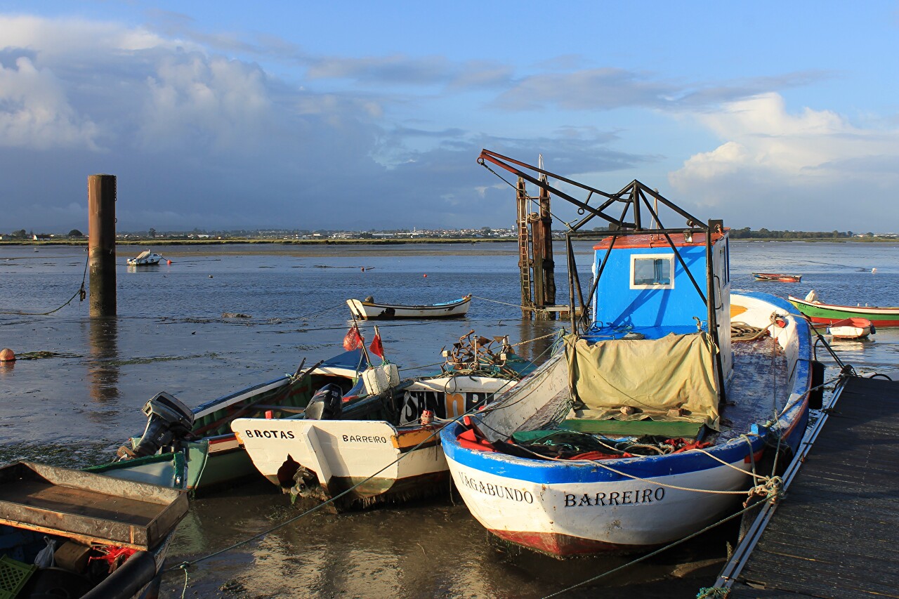 Montijo, low tide