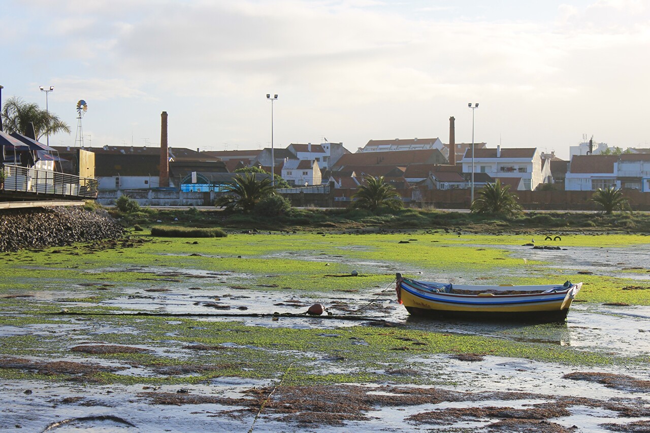 Montijo, low tide