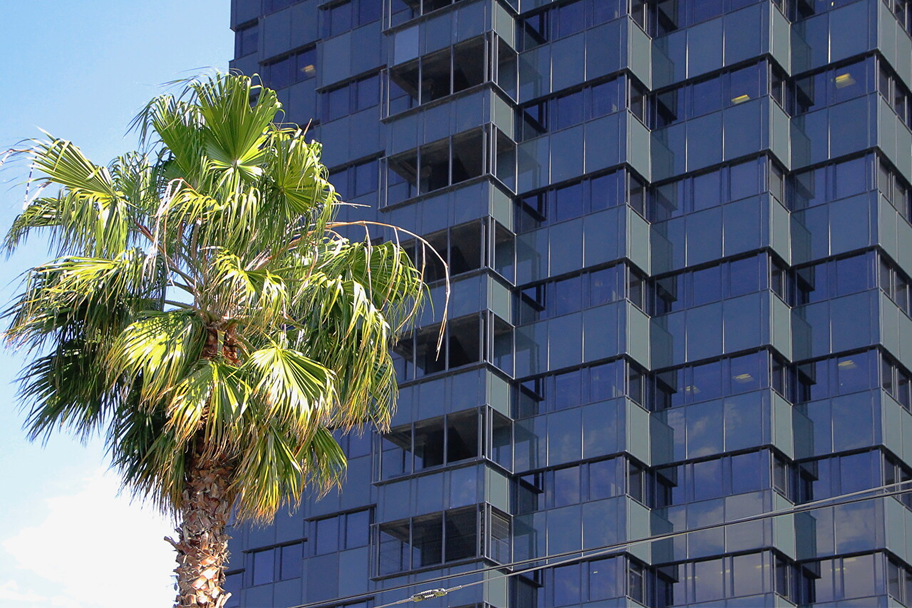 La Caixa Towers, Barcelona