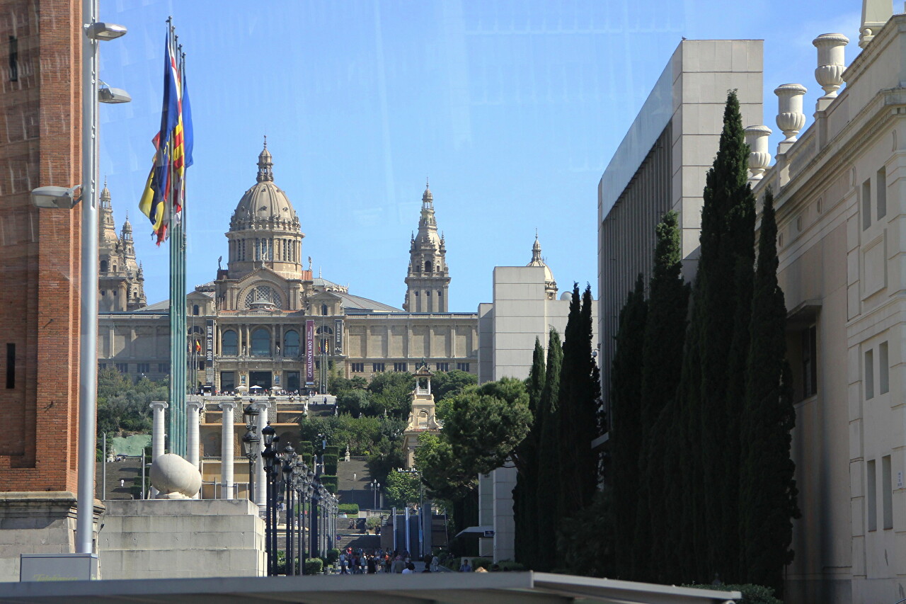Avinguda de la Reina Maria Cristina, Barcelona