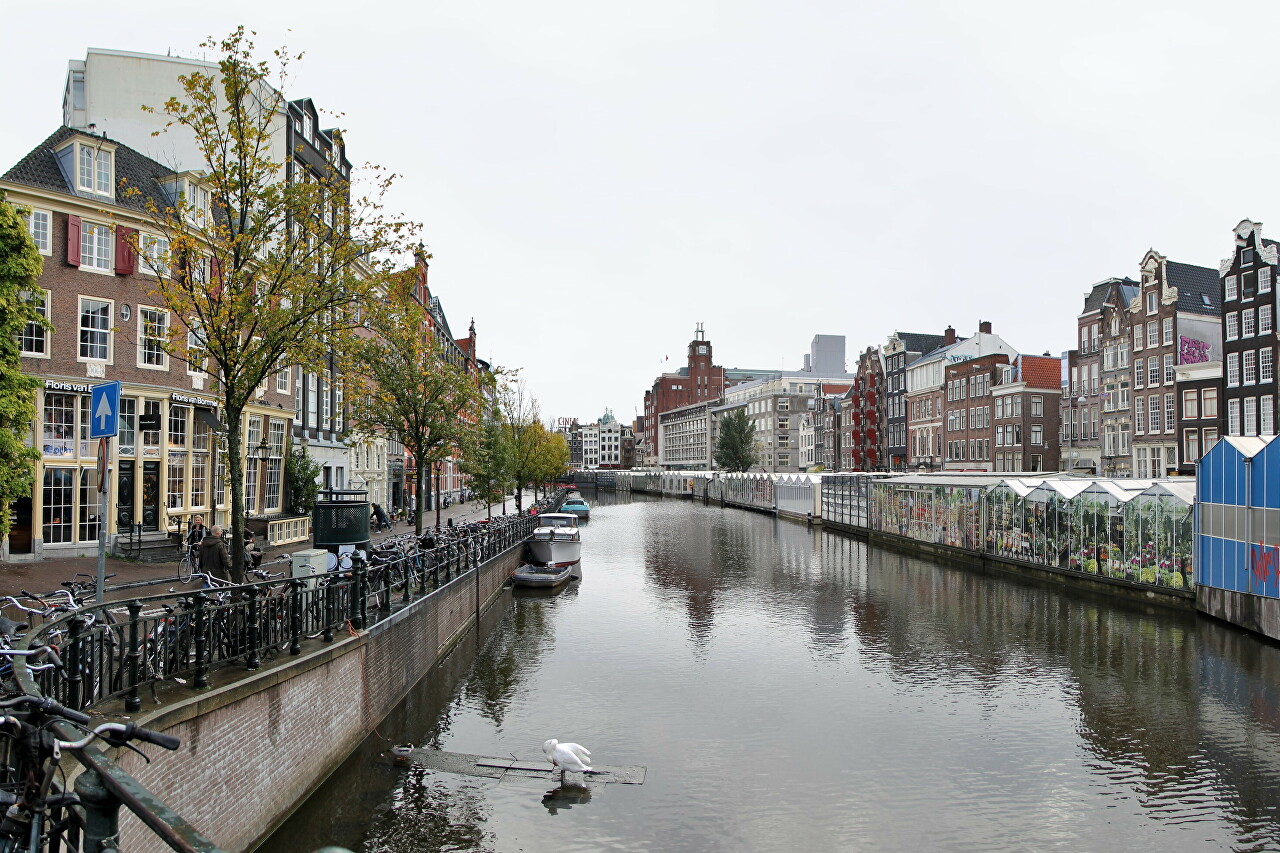 Amsterdam in early October