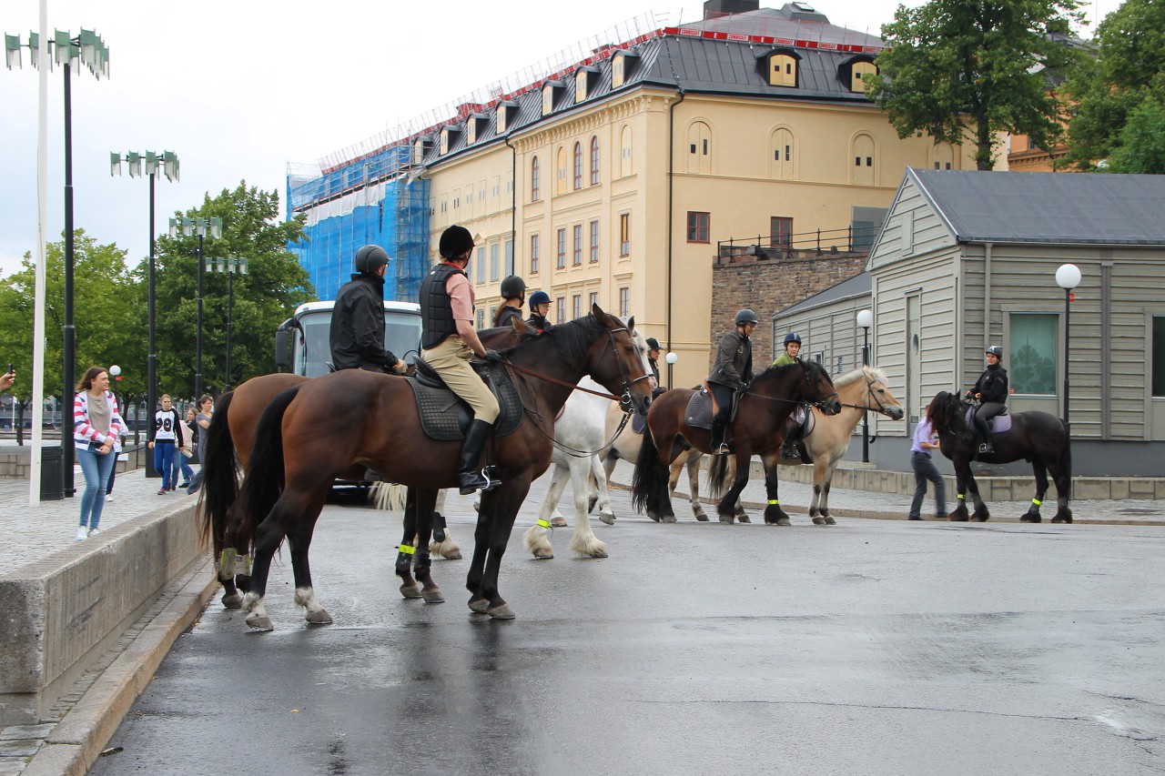 Evert Taubes terrass, Stockholm