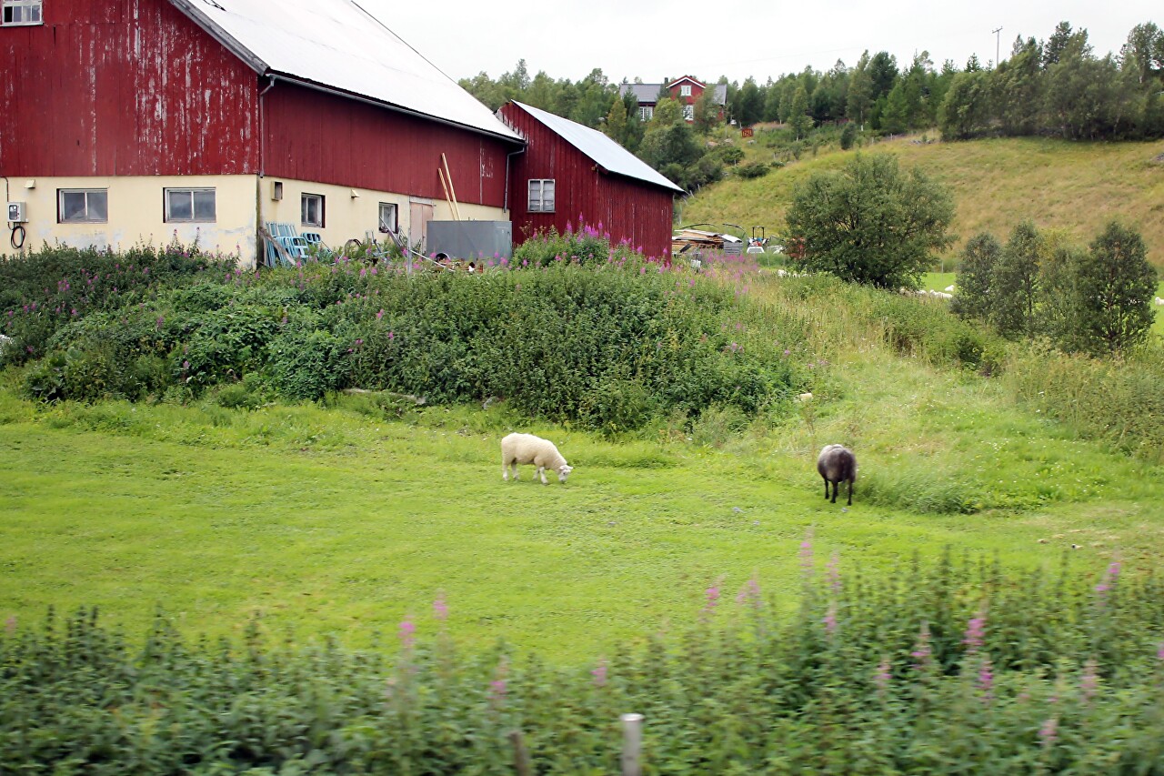 Eastern Norway, Hedmark