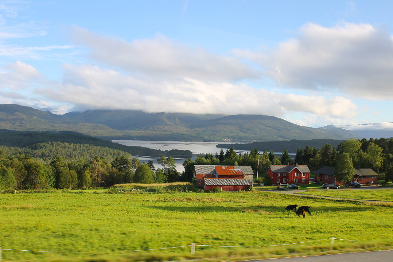 West Trøndelag. Vinje Fjord