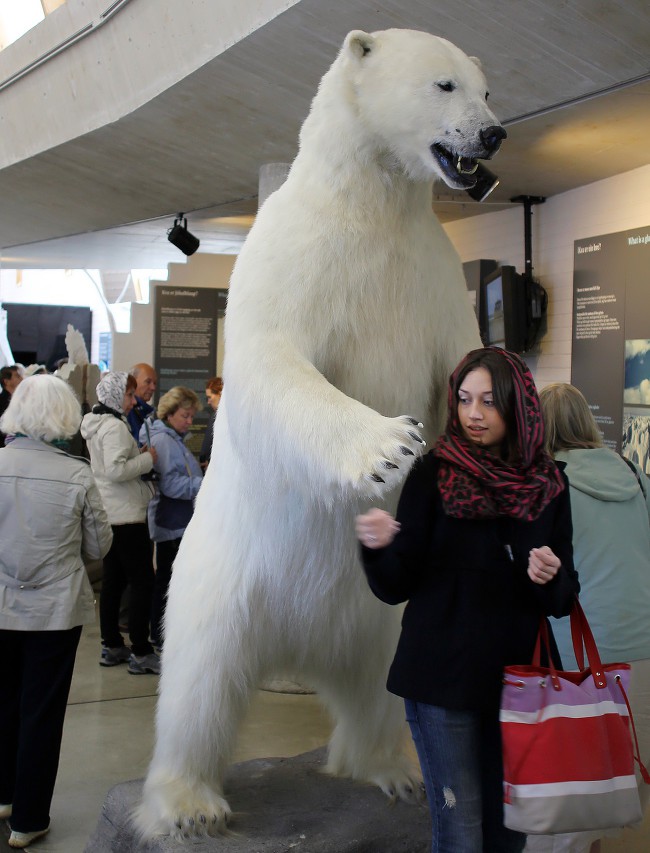 Norwegian glacier museum