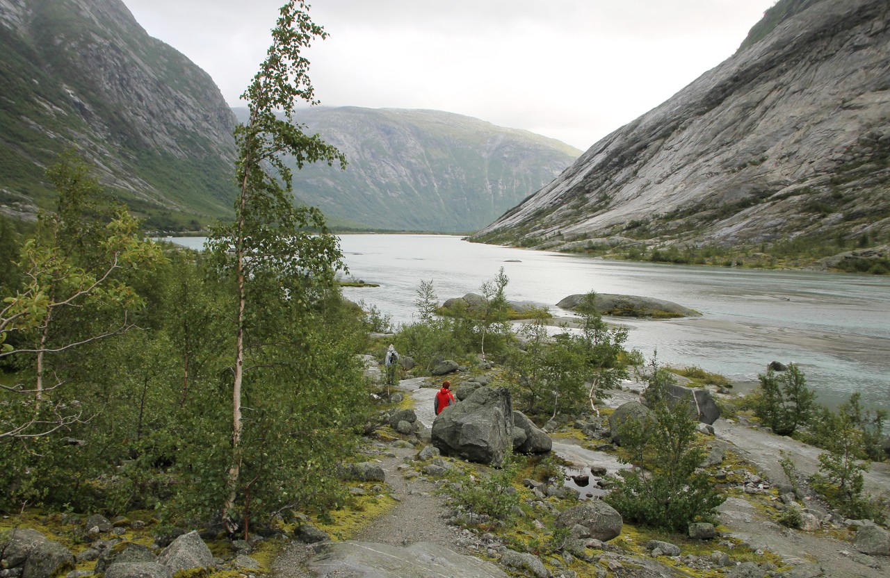 Nygardsbreen Glacier