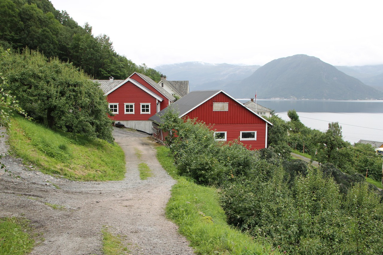 Steinstø fruit farm