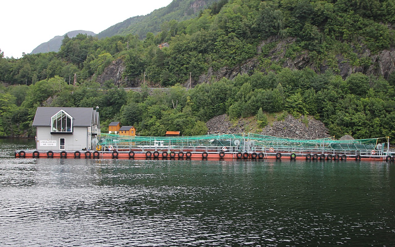 The Hardangerfjord, fish farm