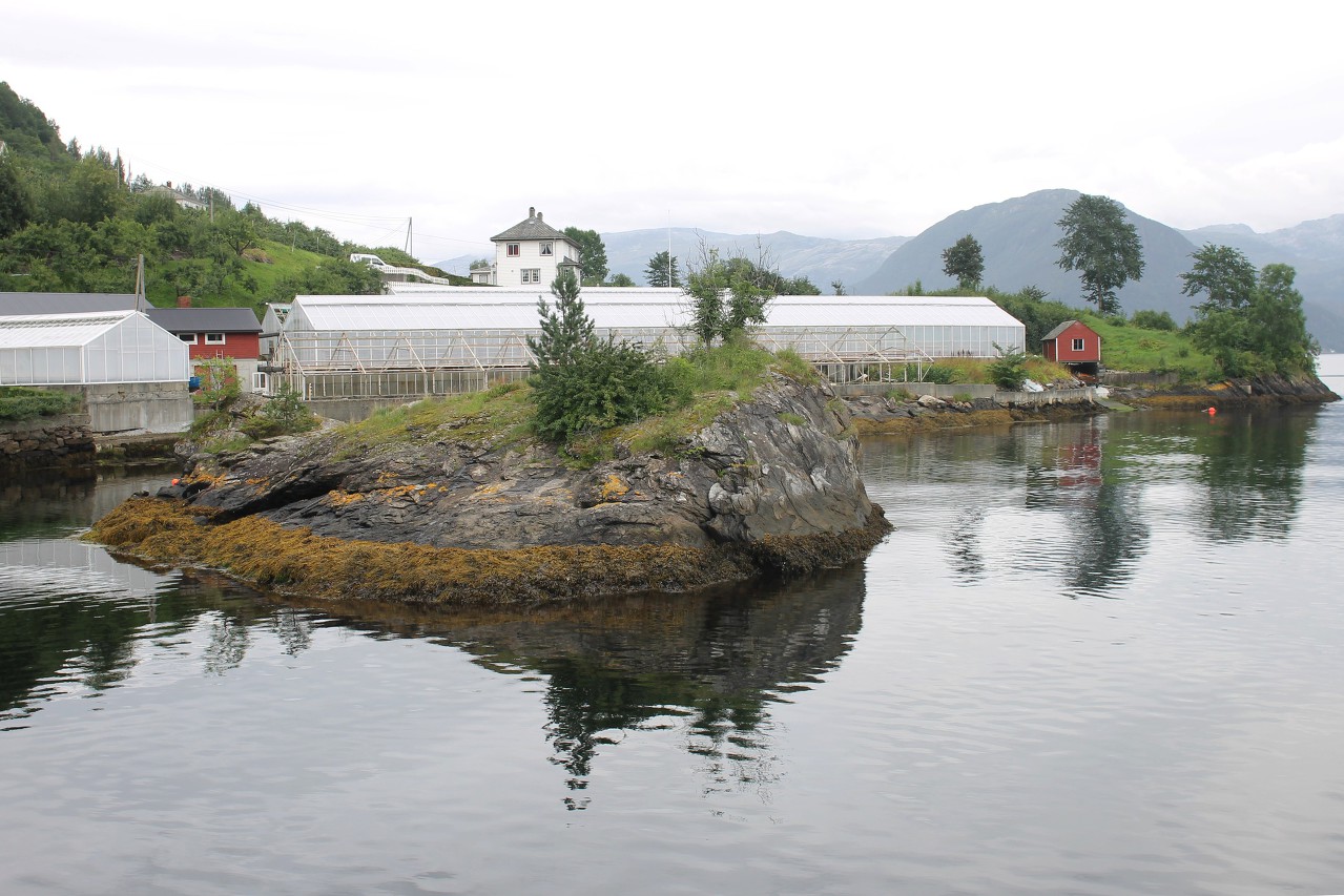 Steinstø village. Greenhouses