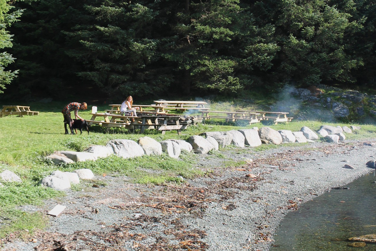 Avaldsnes Viking Farm