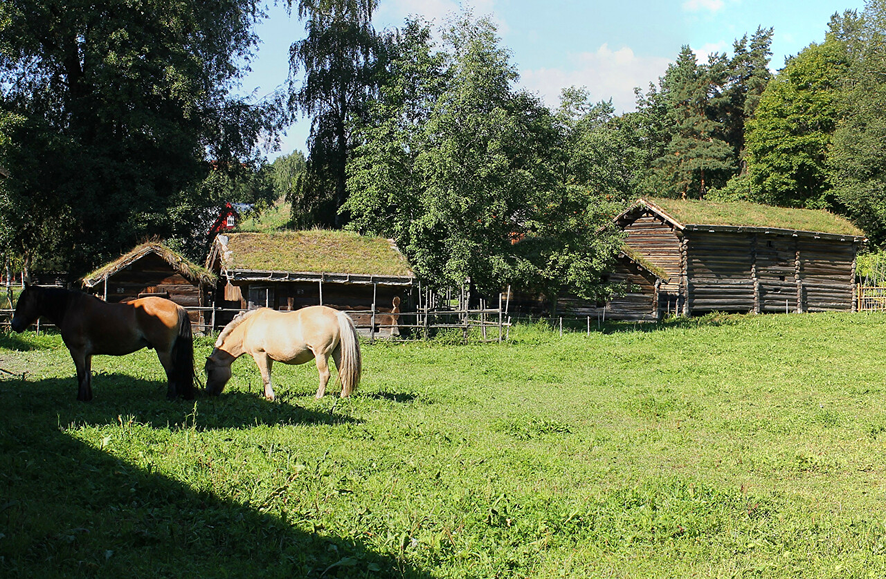 Mountain Dairy Farm