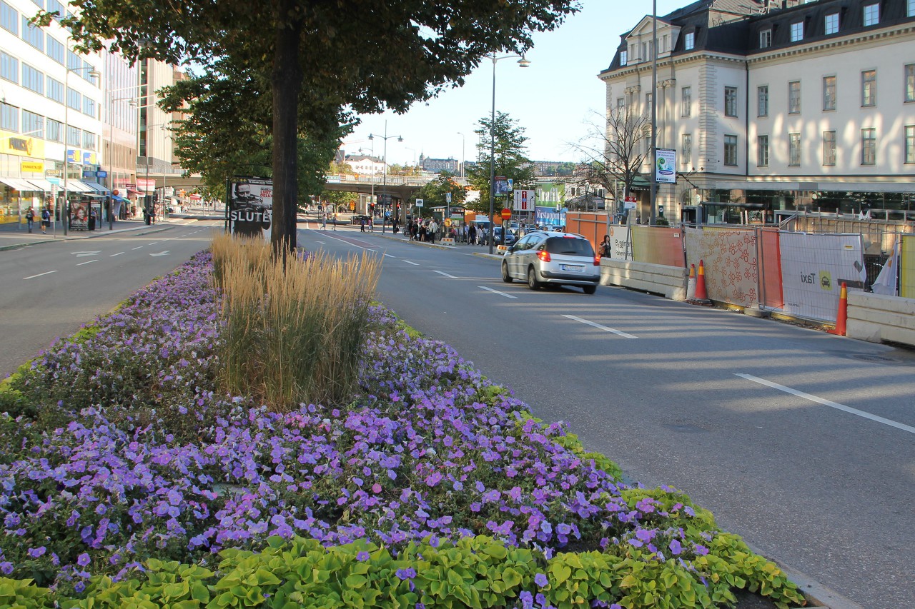 Stockholm. Vasagatan