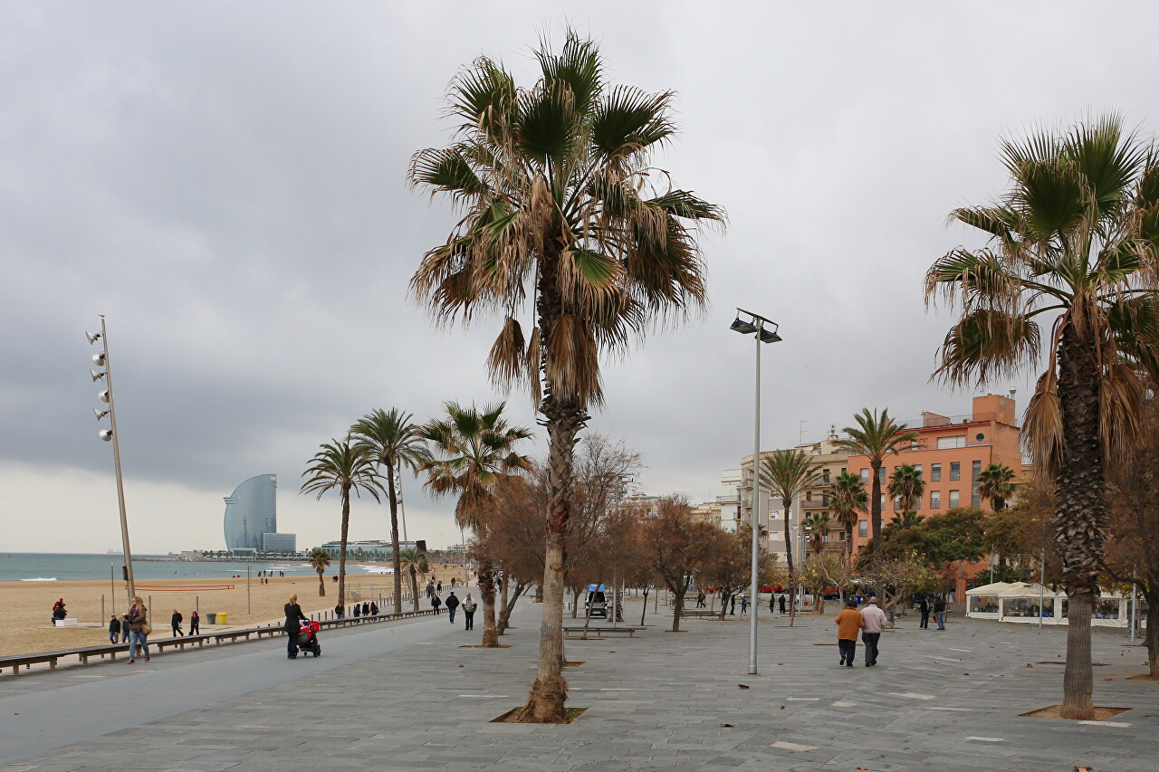 Barceloneta Embankment