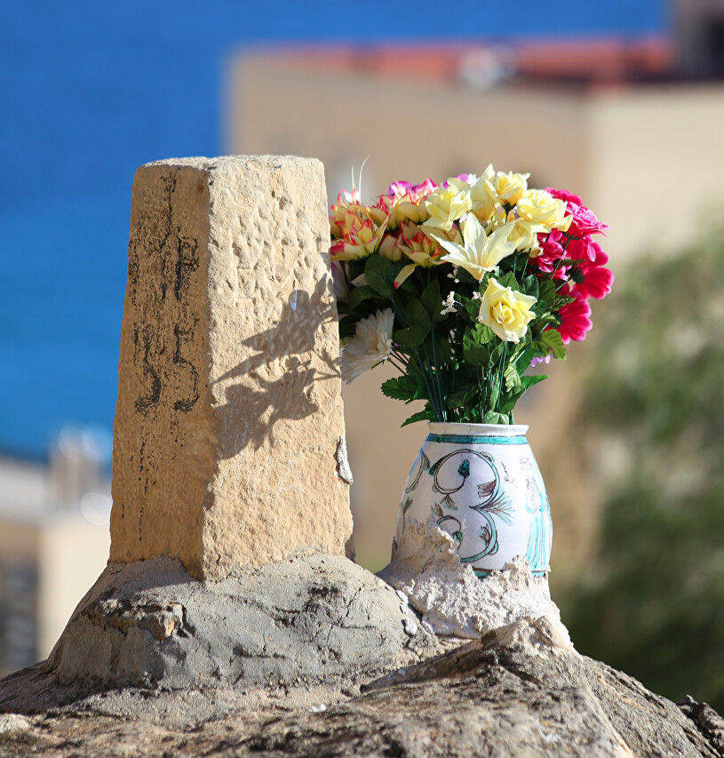 Parque de la Ereta, Alicante