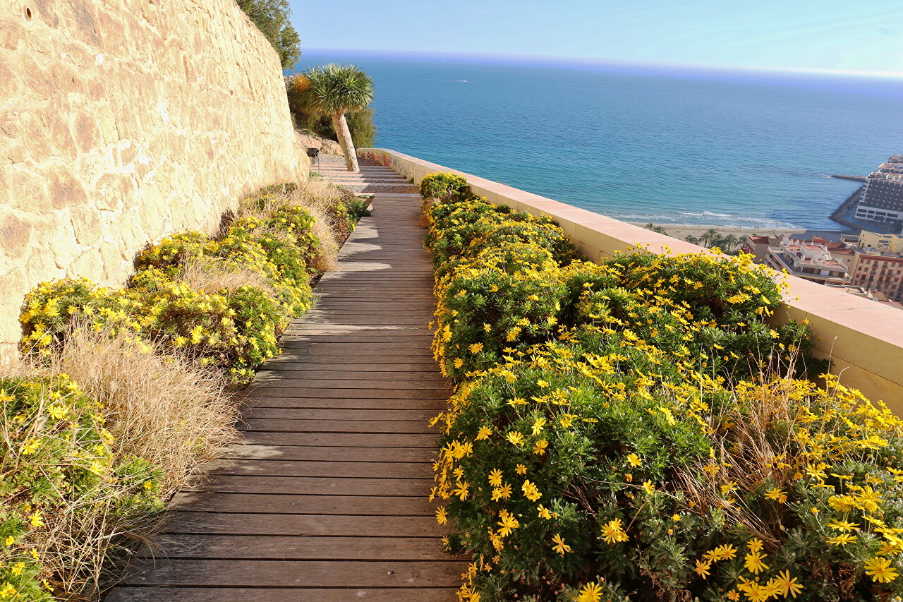 Parque de la Ereta, Alicante