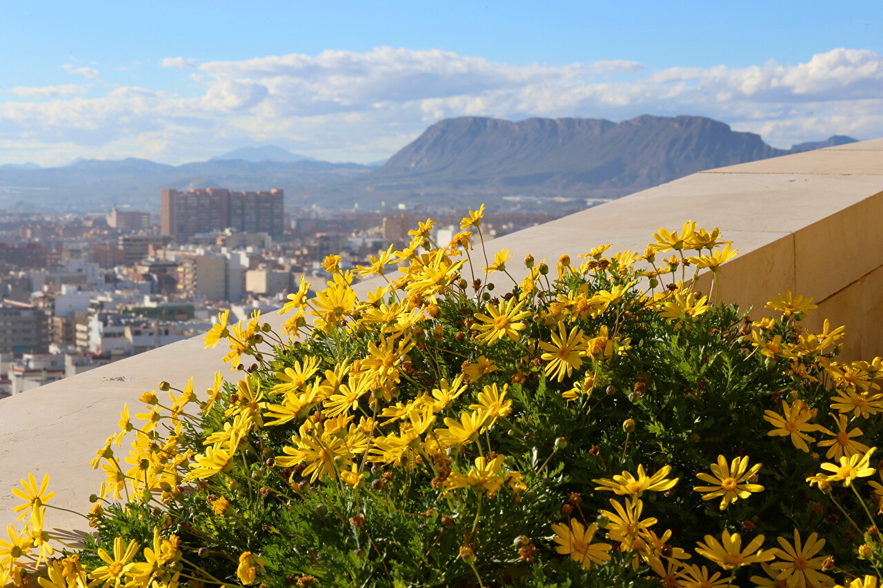 Parque de la Ereta, Alicante