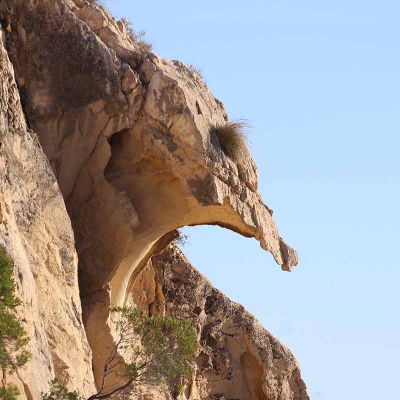 Parque de la Ereta, Alicante