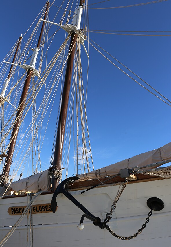 Pascual Flores Schooner, Torrevieja