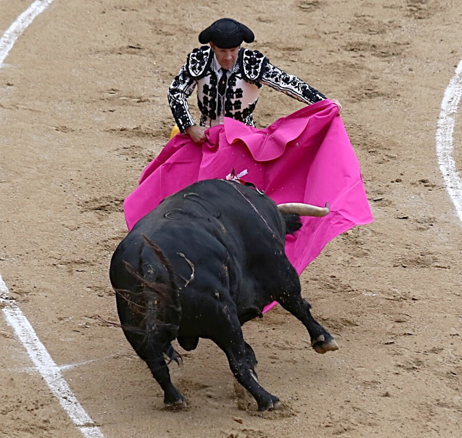 Bullfighting, Las Ventas, Madrid
