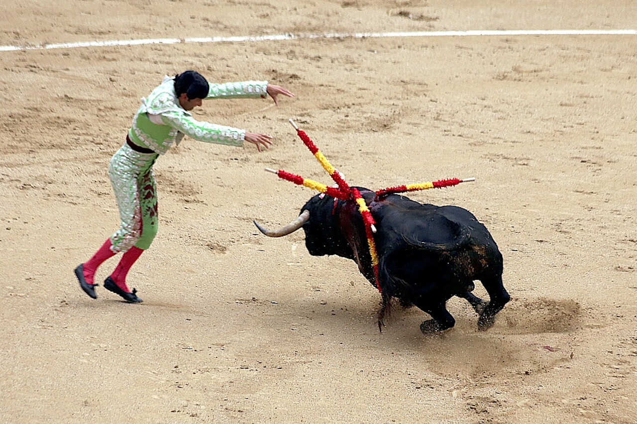 Bullfighting, Las Ventas, Madrid