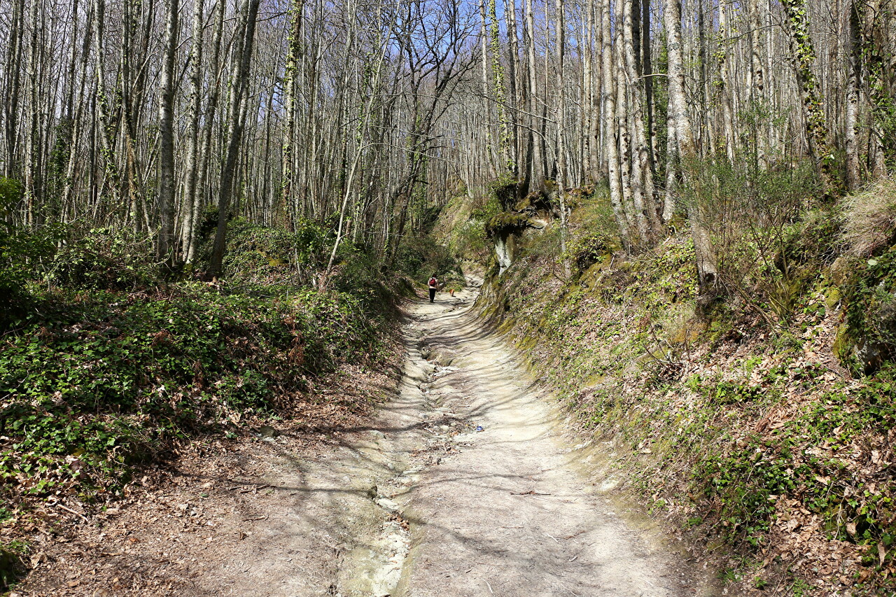 Monte Epomeo Trail