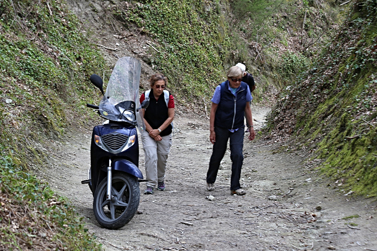 Monte Epomeo Trail, Ischia