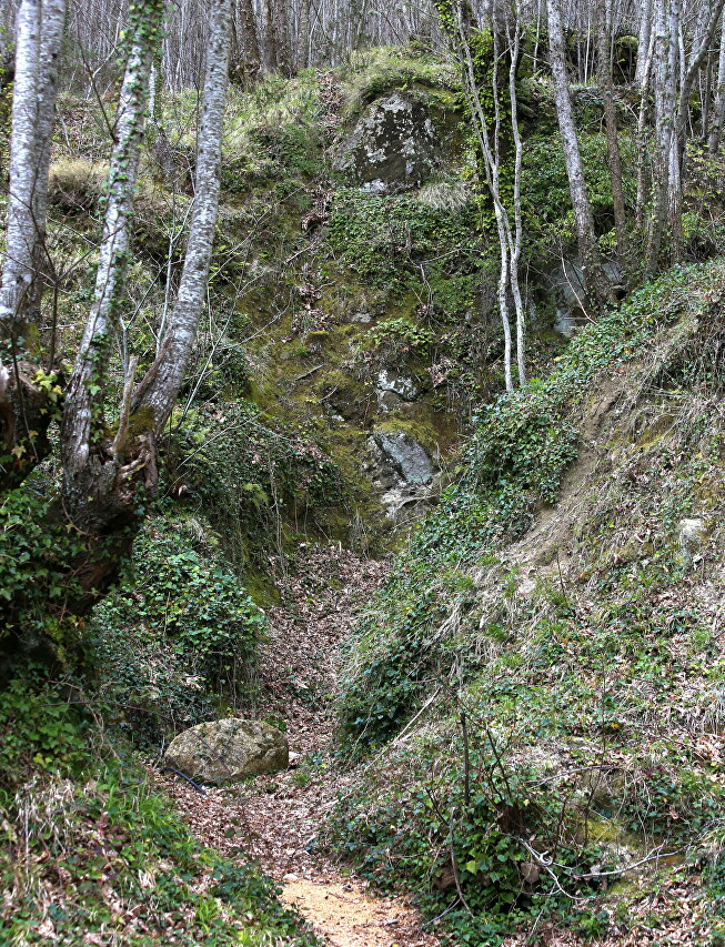 Monte Epomeo Trail, Ischia