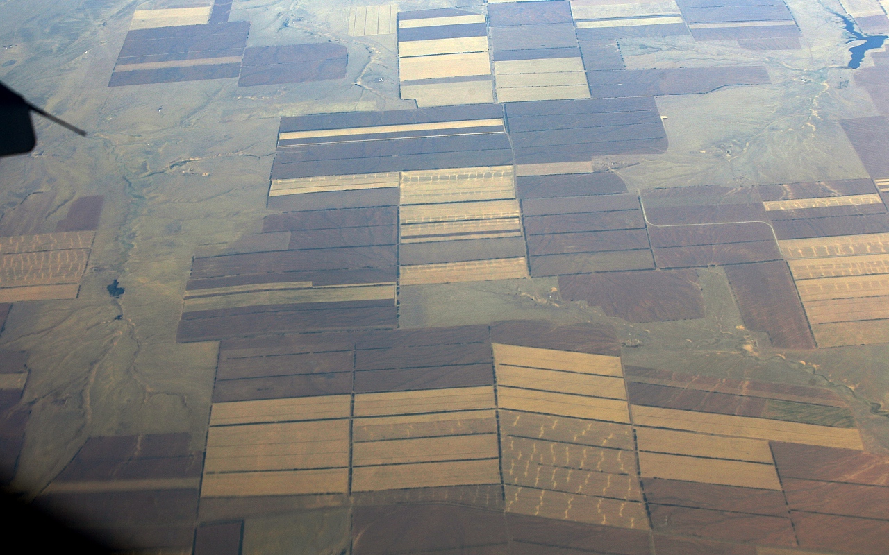 Fields in the Saratov region