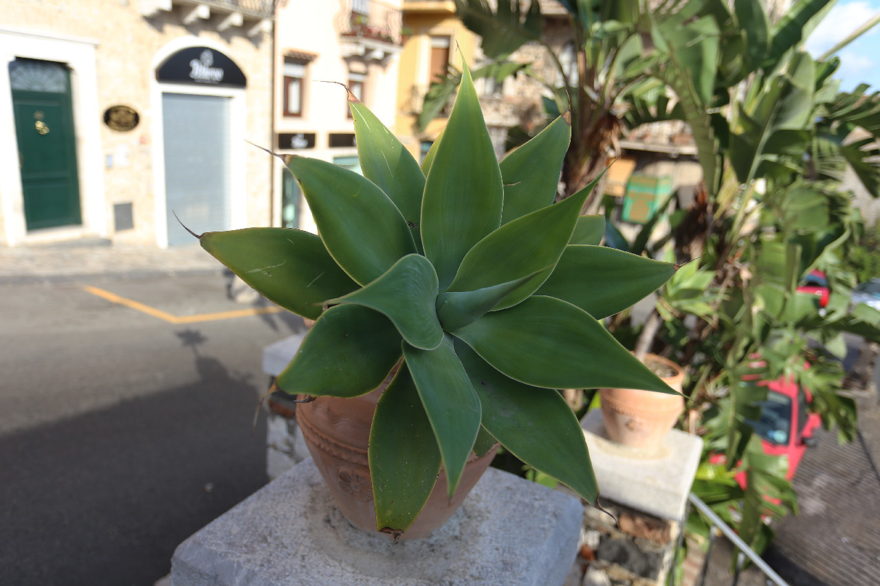 San Pancrazio Square, Taormina