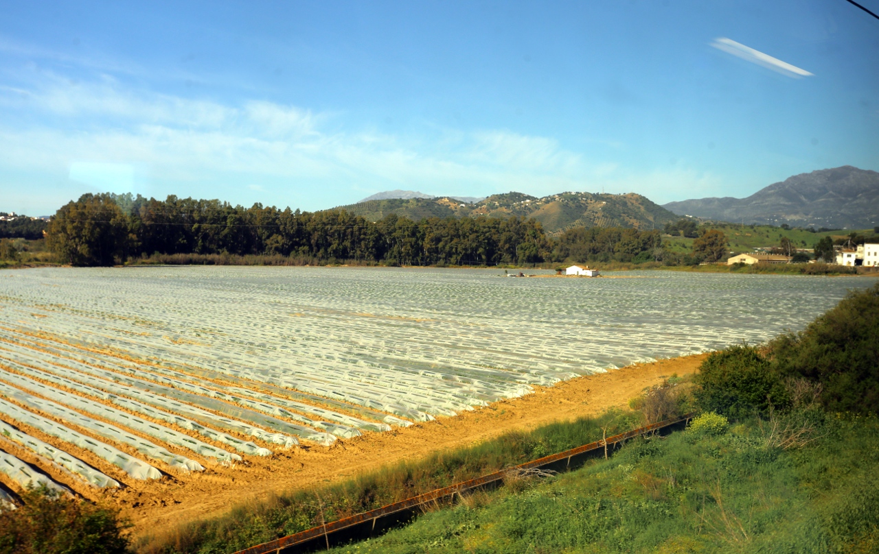 Guadalhorce Valley, Malaga