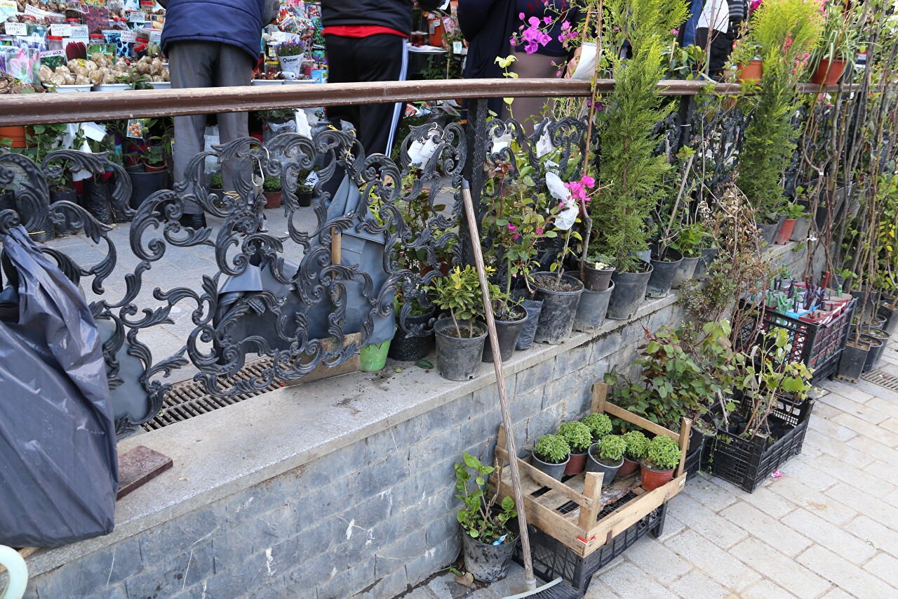 Yeni Jami Square Flower Market