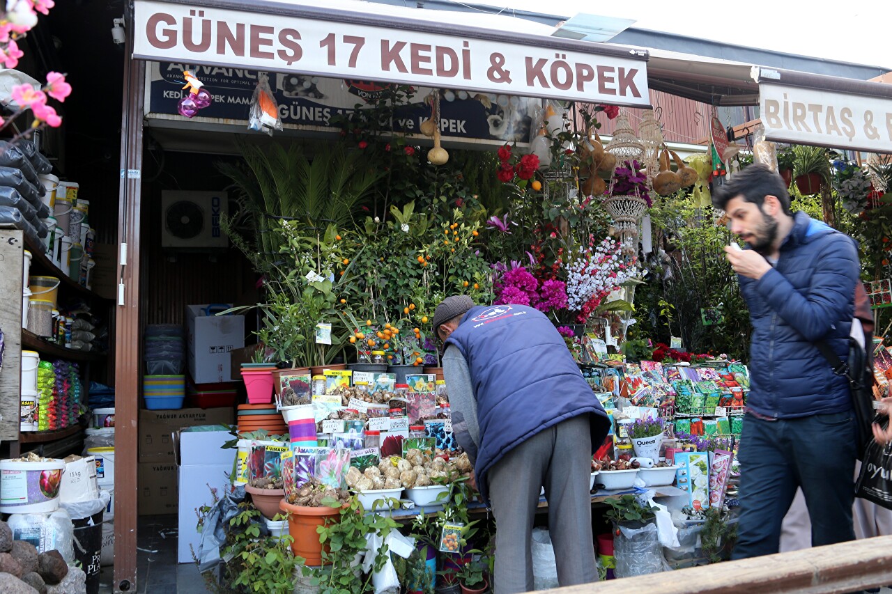 Yeni Jami Square Flower Market