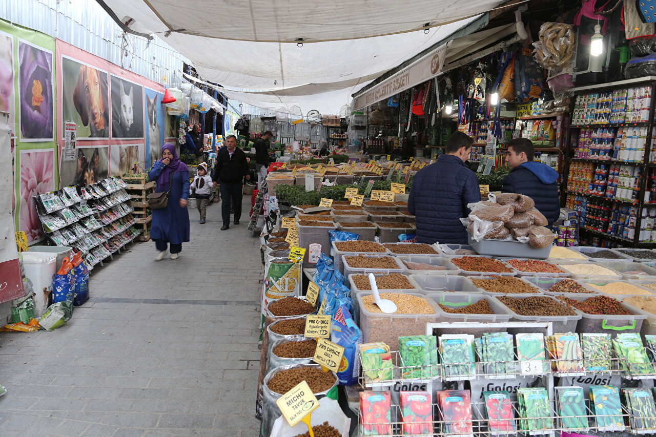 Yeni Jami Square Flower Market