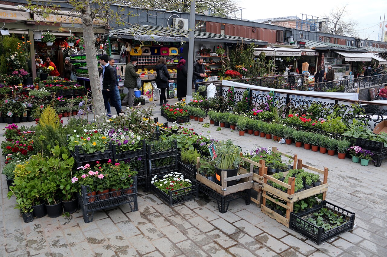 Yeni Jami Square Flower Market