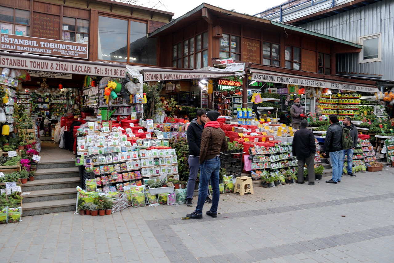 Yeni Jami Square Flower Market
