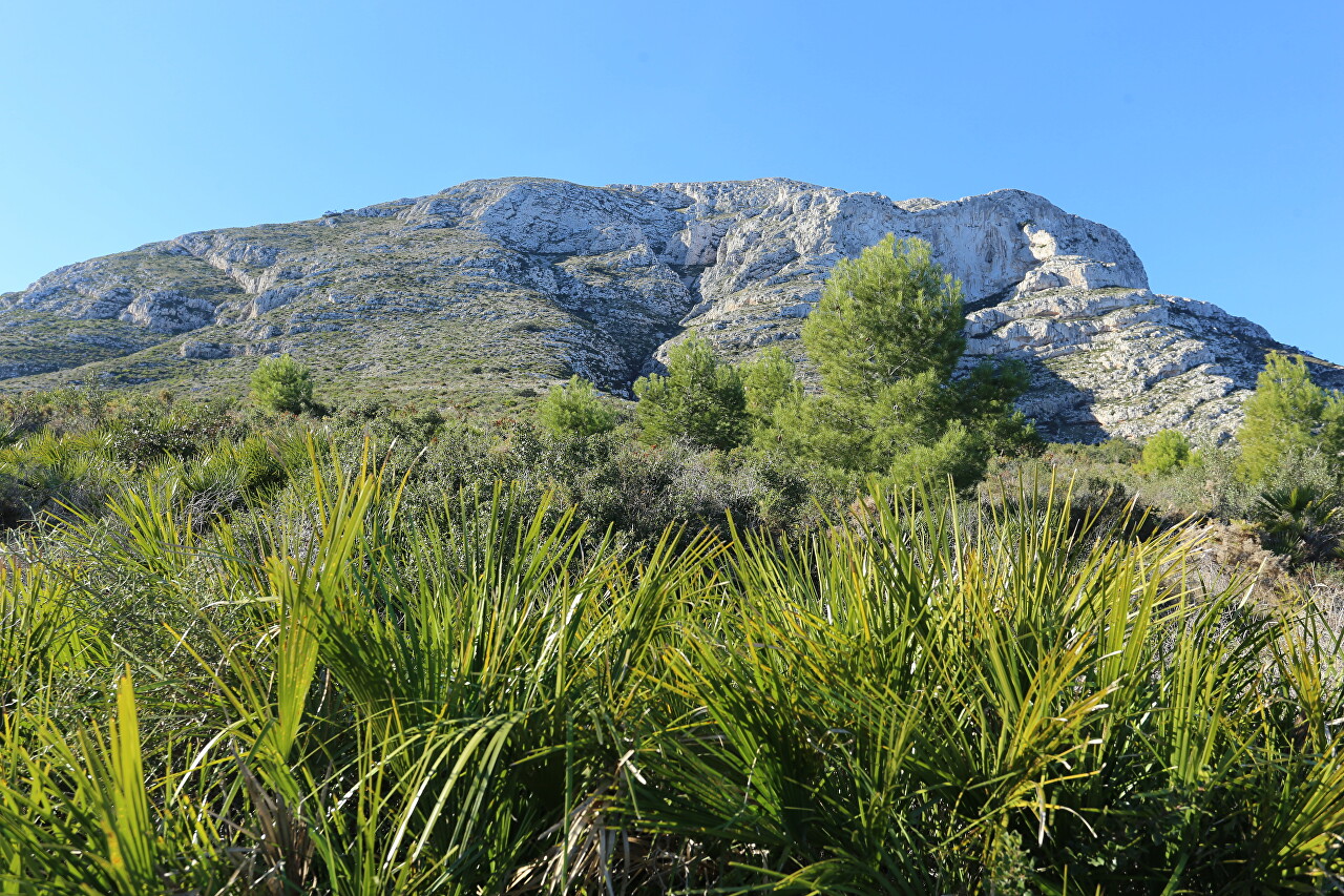 Parc Natural del Montgó, Denia