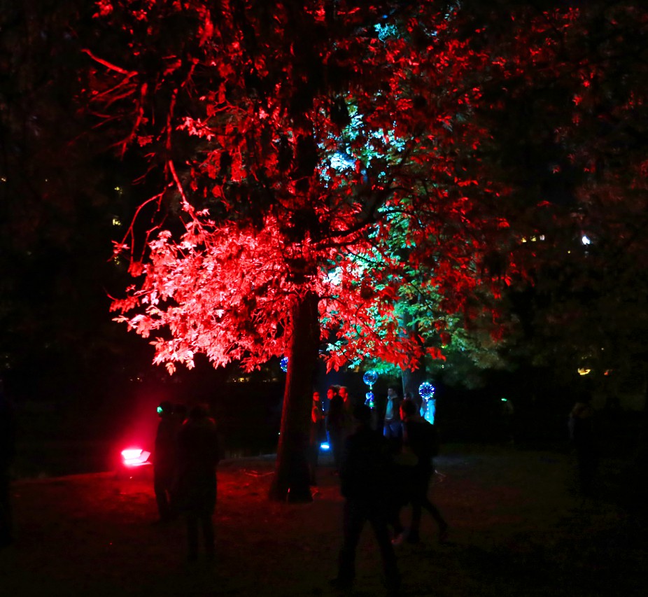 Фестиваль света в Лодзи. Инсталляции в Старомейском парке