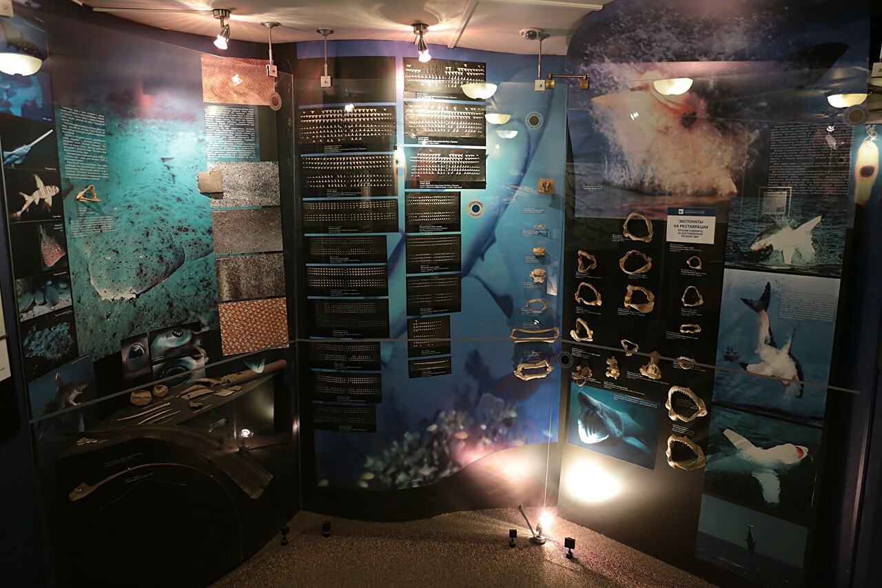 Museum of the World Ocean, Kaliningrad