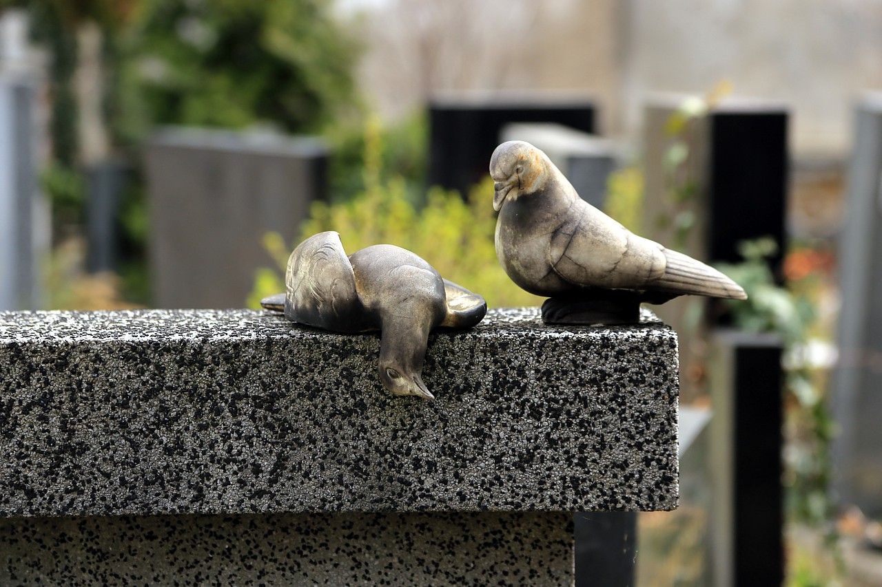 Holešovice Cemetery, Prague