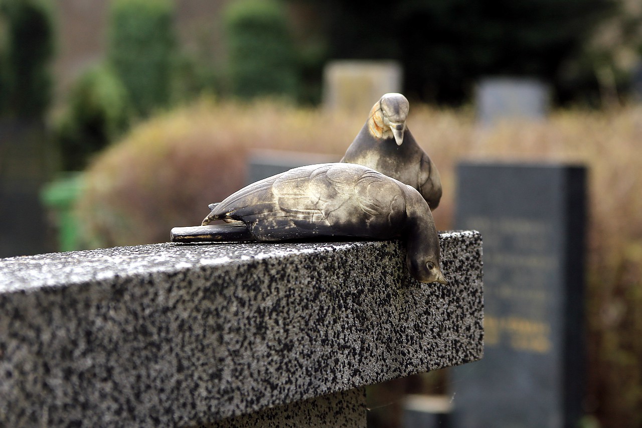 Holešovice Cemetery, Prague