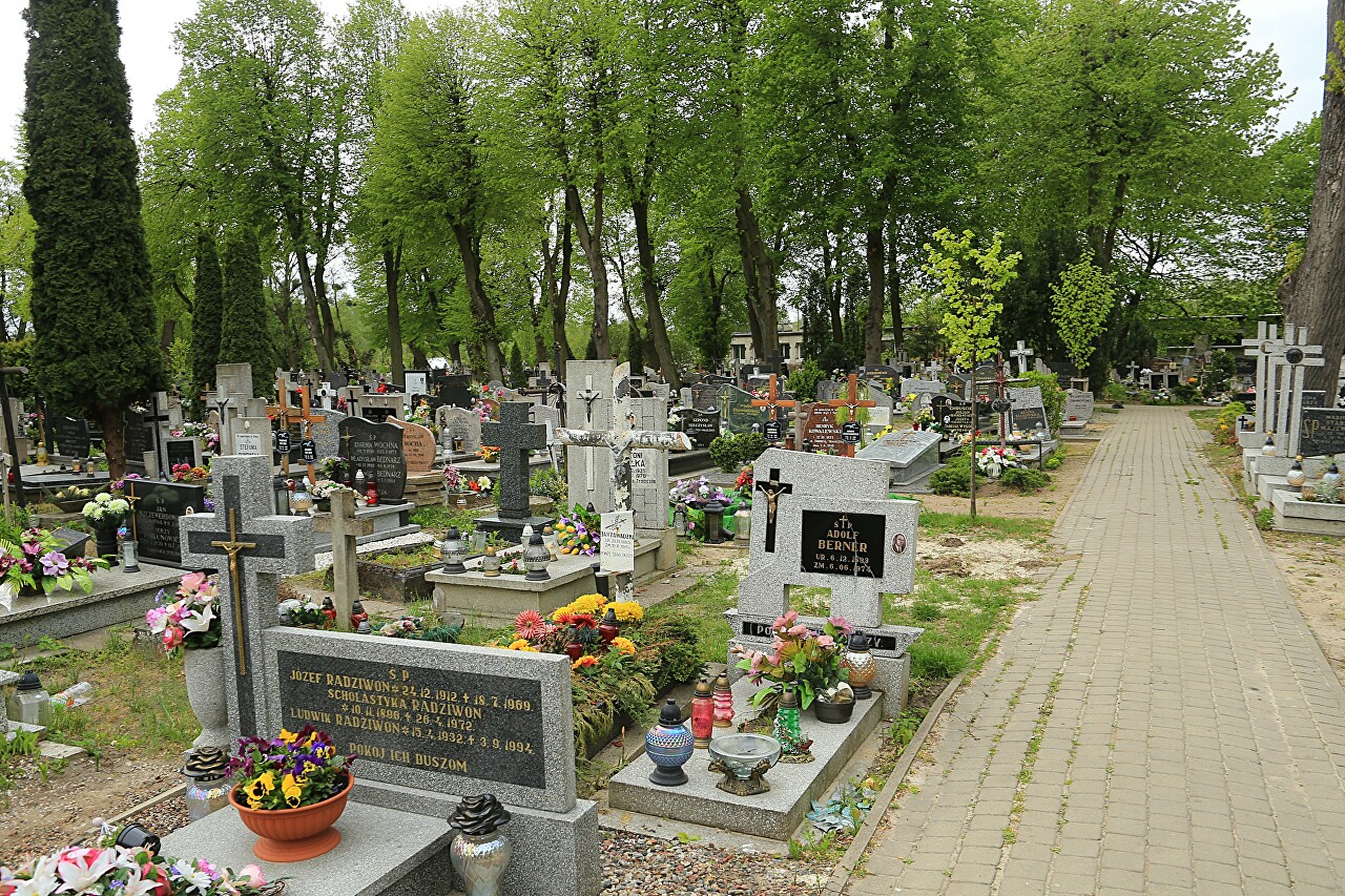 Старое кладбище, Бранево