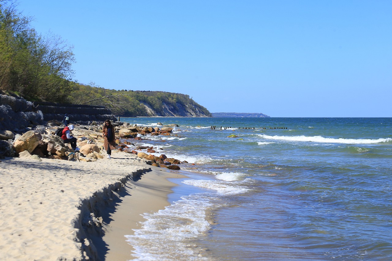 Svetlogorsk. Beach