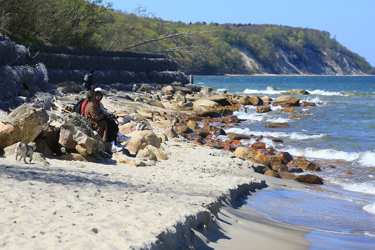 Svetlogorsk. Beach