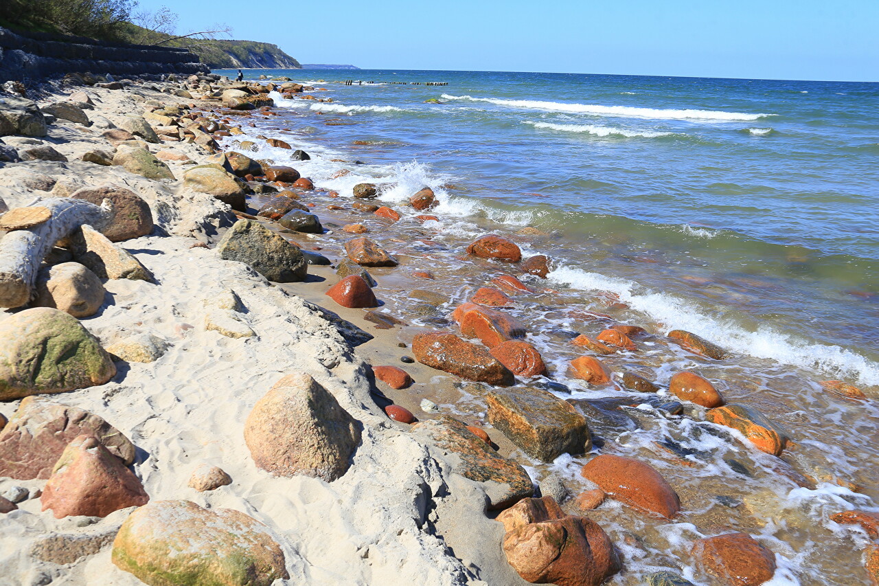 Svetlogorsk. Beach